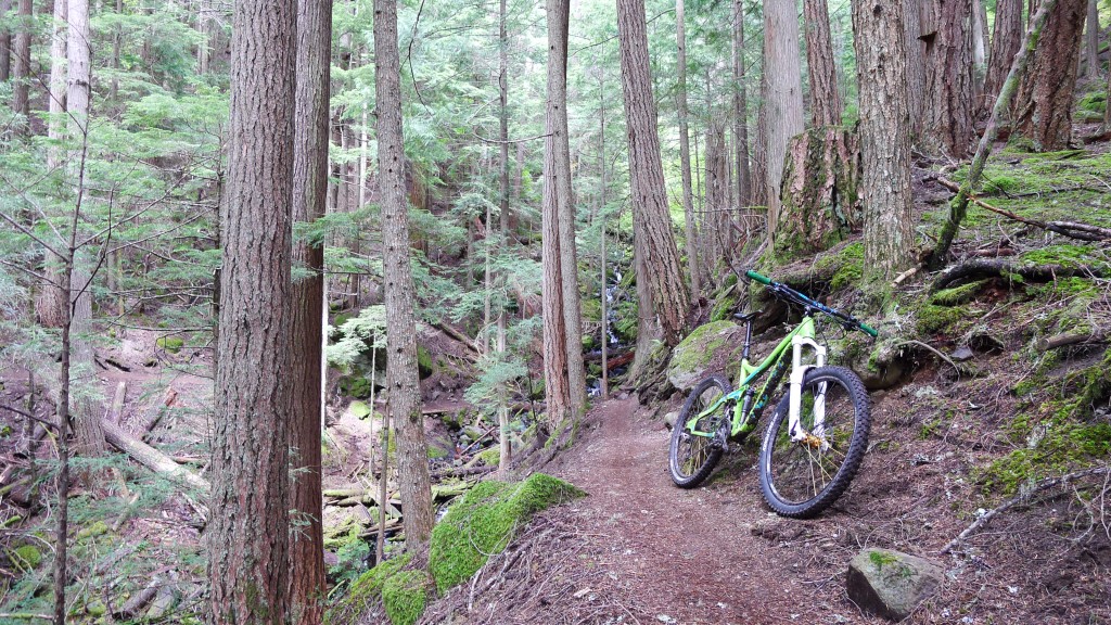 The Range on Ranger. I couldn't believe how perfect these trails were. 