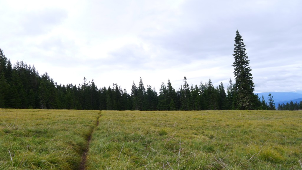 The start of the Alpine Trail