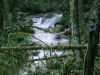 Creek on Burke Mountain